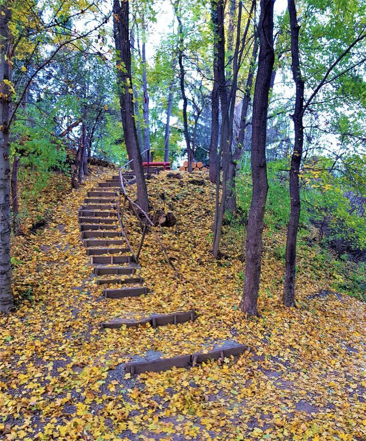 Muskatli Udulohaz Bed and Breakfast Parád Εξωτερικό φωτογραφία